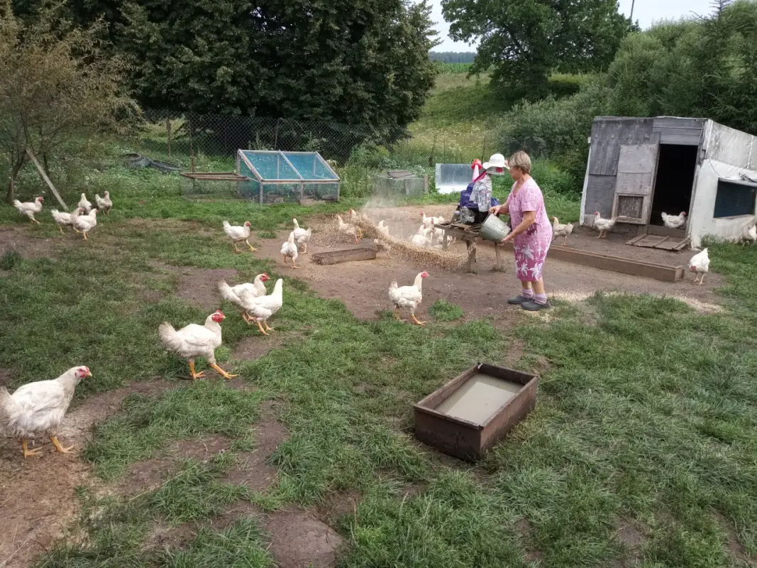 В Казахстане разработают закон "О личных подсобных хозяйствах"