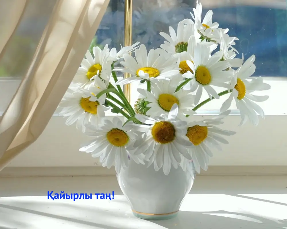 Қайырлы таң - с добрым воскресным утром!