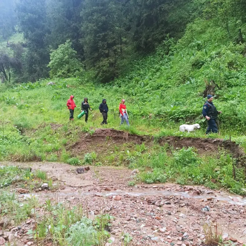 Спасатели помогли заблудившимся гражданам России в горах под Алматы