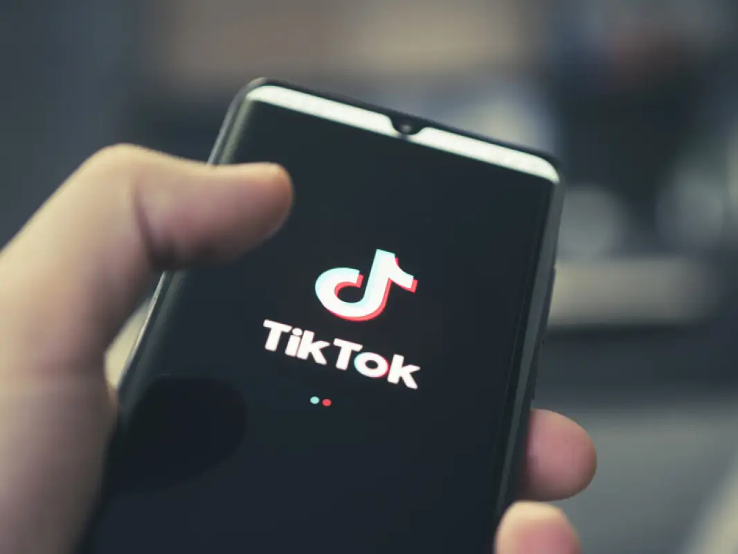 «Волки и кабаны», «погибли дети»: в Петропавловске полиция накажет горожан за фейки