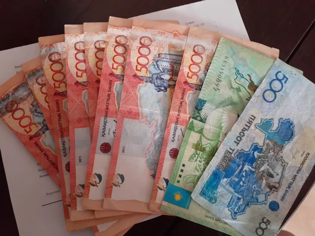 Покажите конфиденциальные файлы: как в РК перепроверят жалобы казахстанцев, не получивших 42500 тенге