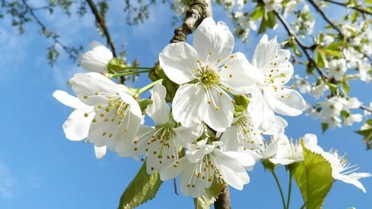 Какие события и изменения ждут казахстанцев в мае