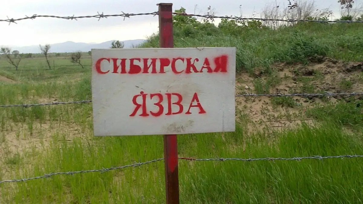 «В каждом регионе есть 3-4 захоронения с сибирской язвой» – министр Сапаров