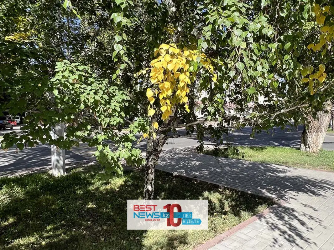 Сентябрь в Казахстане начнется дождями и жарой