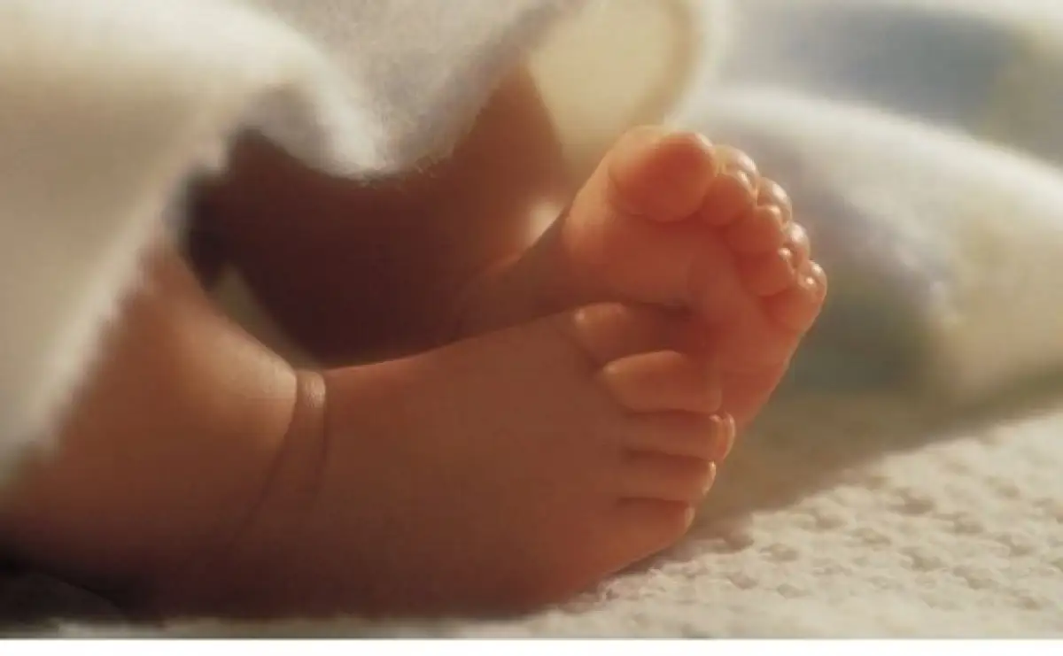 Дело о младенце в холодильнике: экс-чиновница выплатит многомиллионный штраф