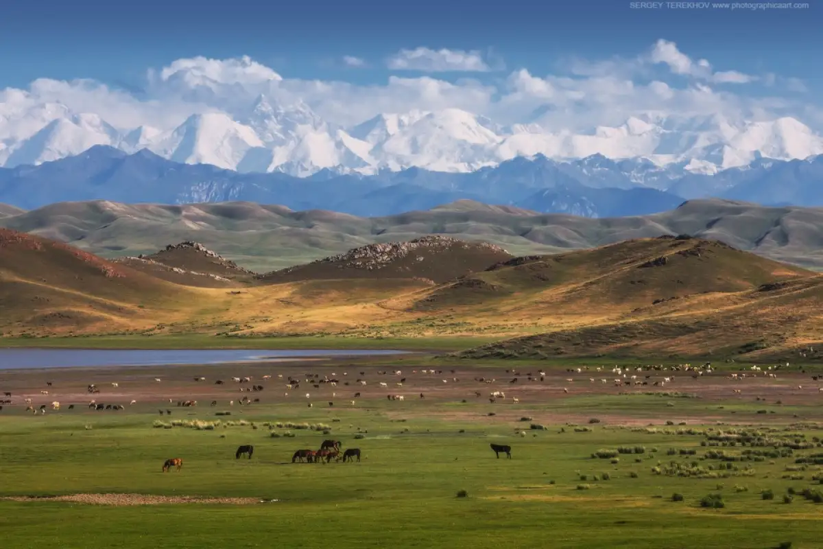 Местами ветер, туман: погода по Казахстану на 21 октября