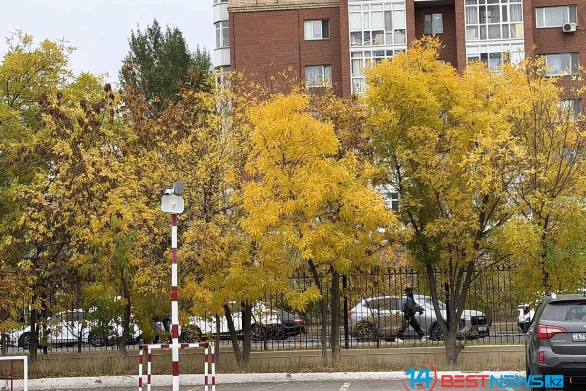 Усиление ветра и дождь ожидается в Астане