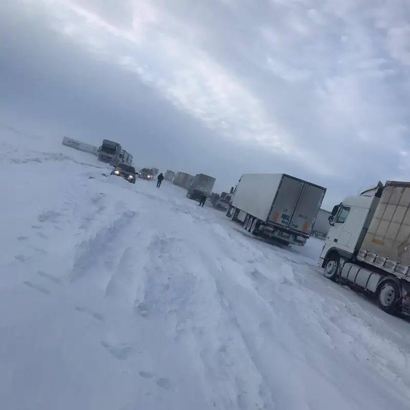 С трассы "Самара-Шымкент" эвакуирован 31 человек, из затора вытащили 50 авто