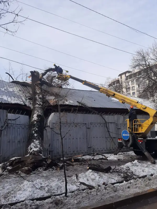 В Алматы после снегопада деревья упали на авто и заборы