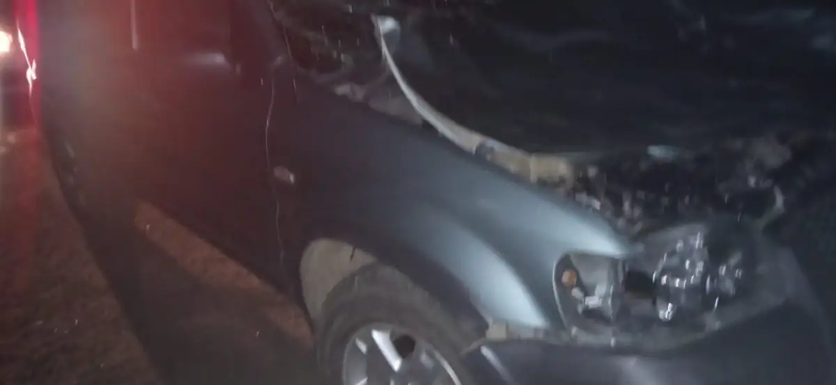 Фото: в СКО «Ford» наехал на лошадь – обошлось без жертв