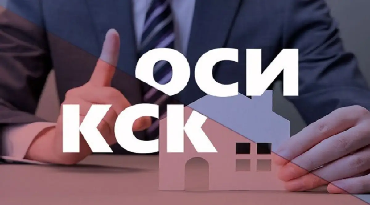 «Мы с этой реформой ОСИ сильно ошиблись» - Токаев