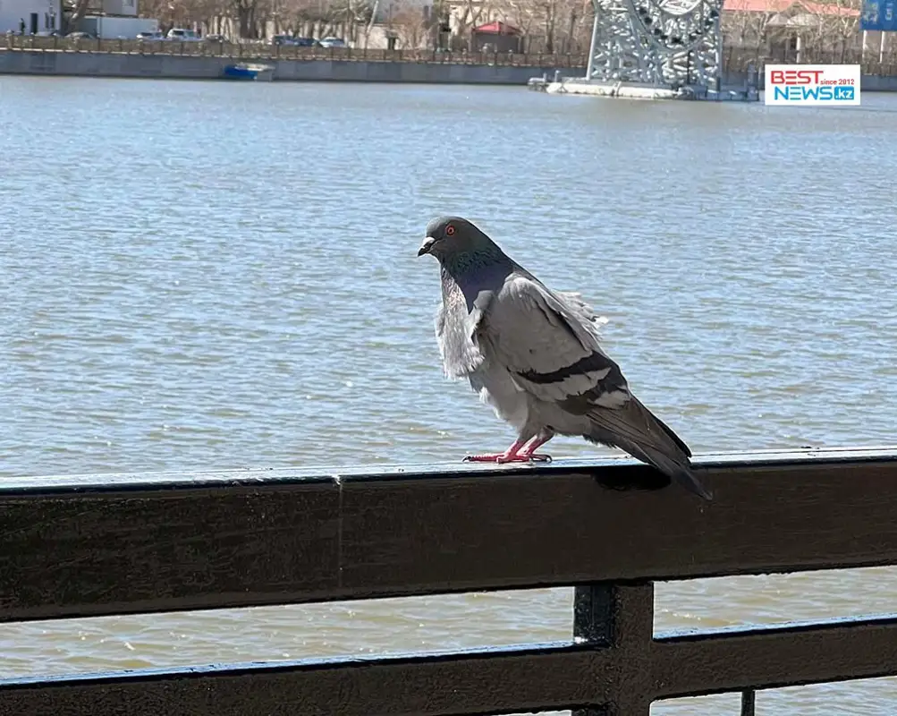 В Нур-Султане потеплеет: погода в трех главных городах Казахстана
