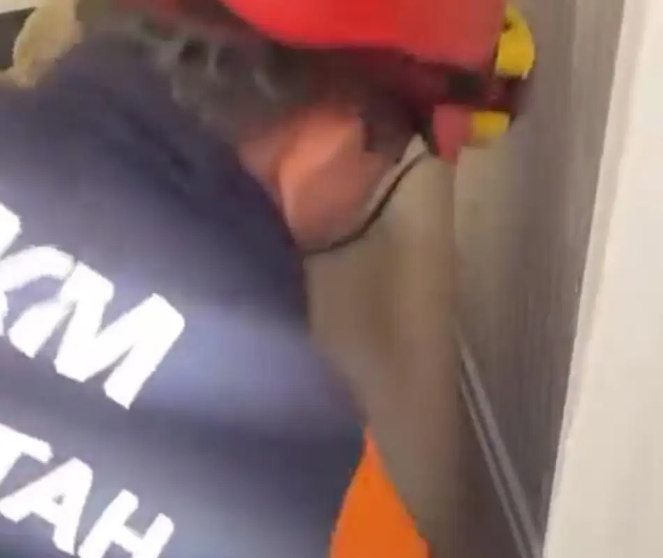 В Астане в квартиру влетела летучая мышь