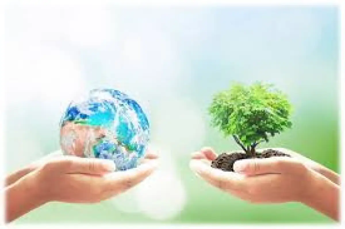 Когда в школах Казахстана начнут изучать экологическое образование