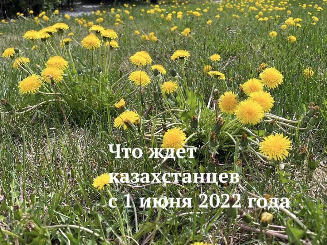 Прибавка к пенсиям, референдум, лето: что ждет казахстанцев с 1 июня 2022 года
