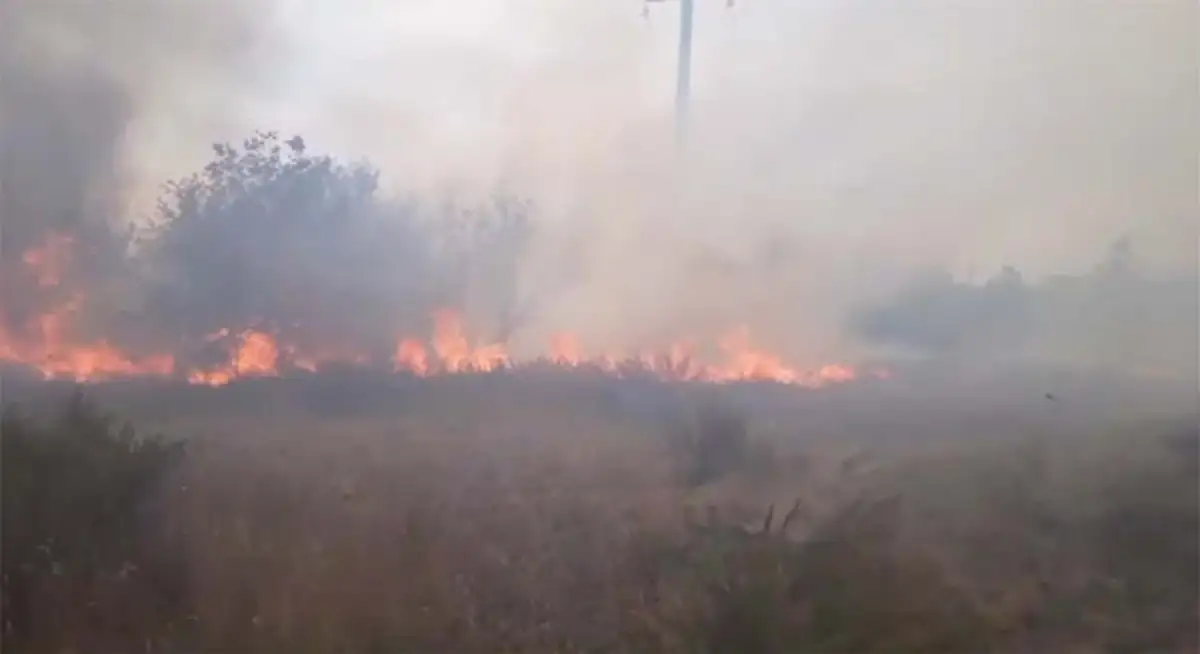 Жителей Карагандинской области призвали не паниковать из-за степных пожаров - видео