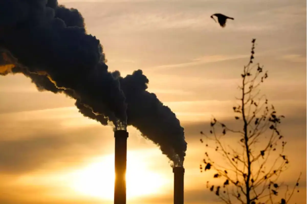 В Нур-Султане и пяти городах построят мусоросжигающие заводы