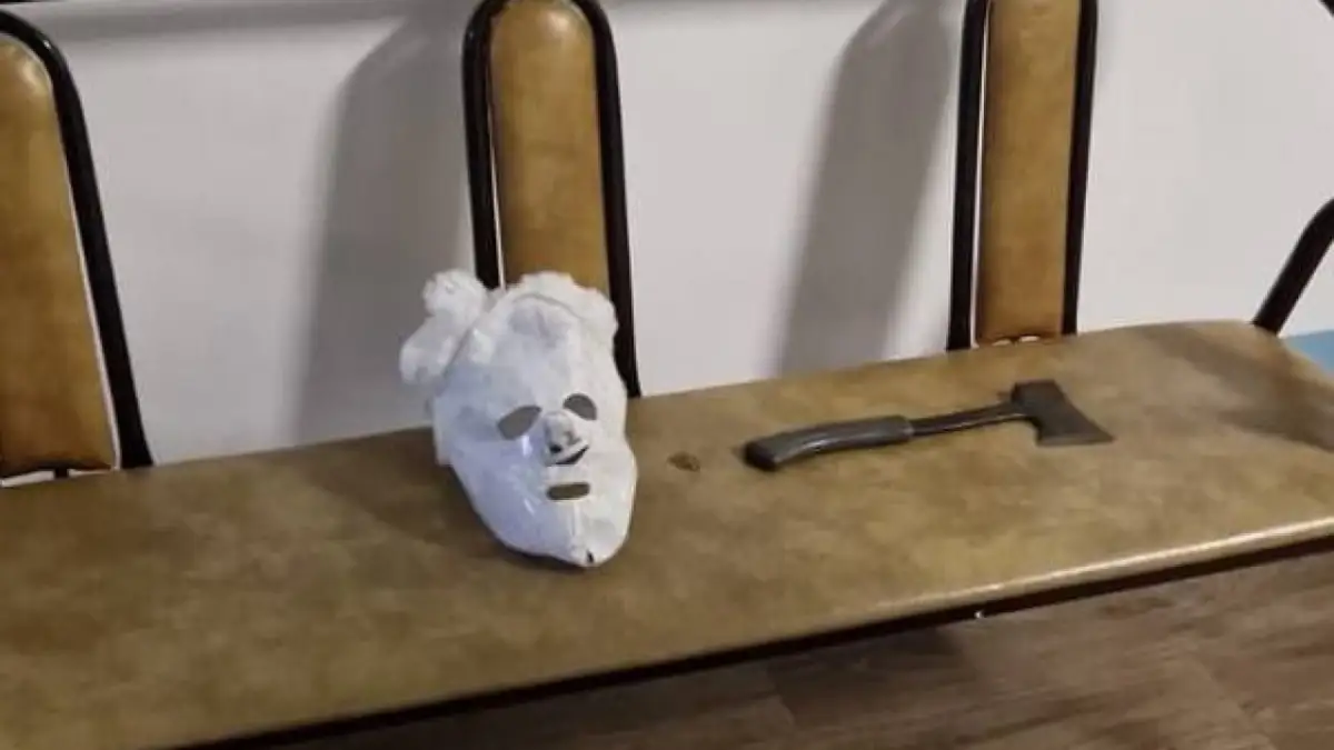 Школьник напал с топором в Петропавловске - судебные психиатры завершают экспертизу