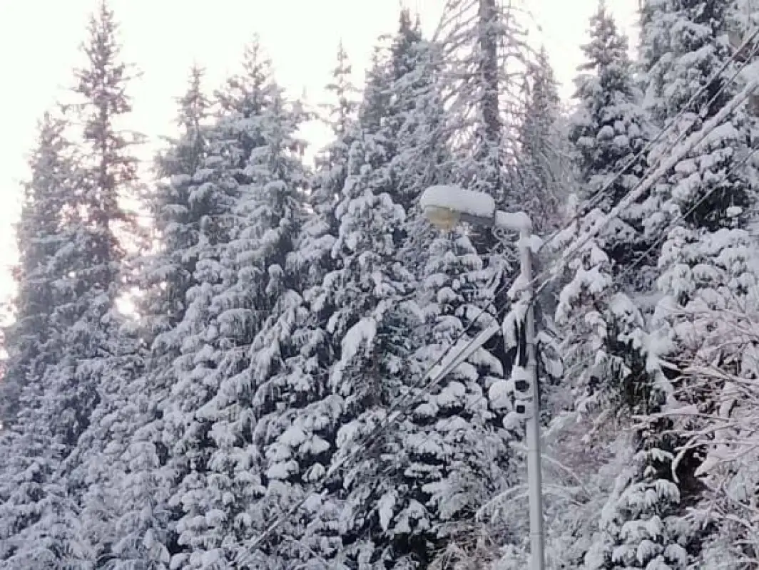 Не топите, водители: на дороге Медеу - Шымбулак в Алматы установили камеры Сергек