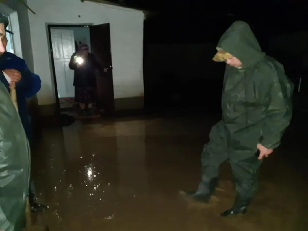 В Туркестанской области после обильных дождей затопило дворы, погиб скот