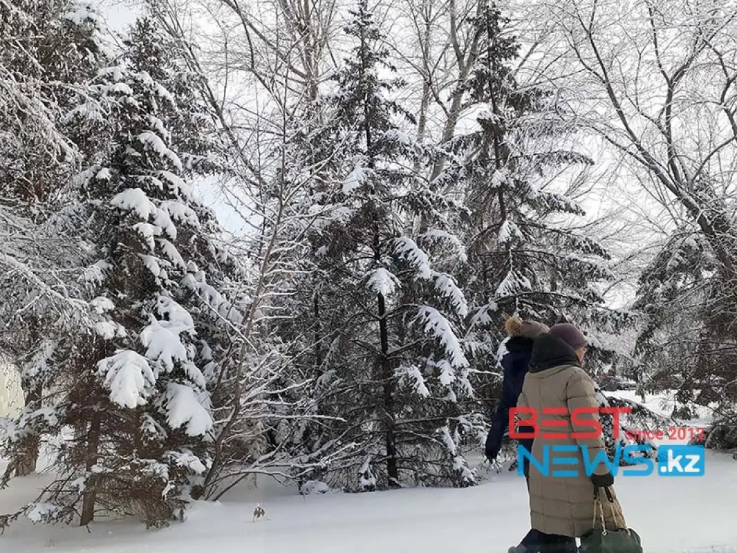 Новая волна холода идет на Казахстан