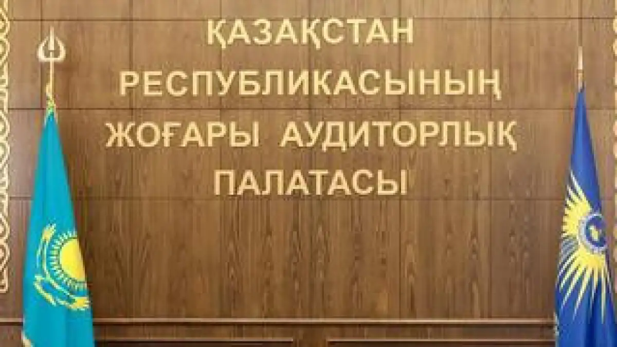 ВАП проводит аудит в Нацгвардии Казахстана и проверит расходы на борьбу с теневой экономикой 