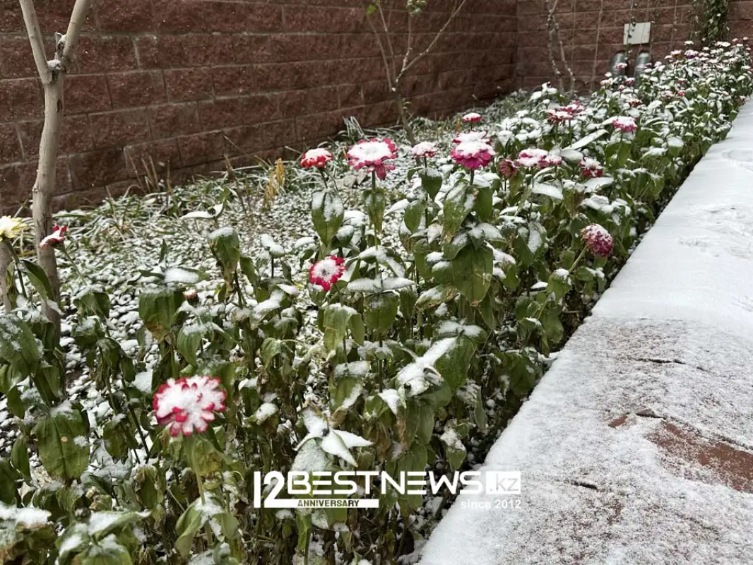 Заморозки даже на юге – погода по Казахстану на 16 октября