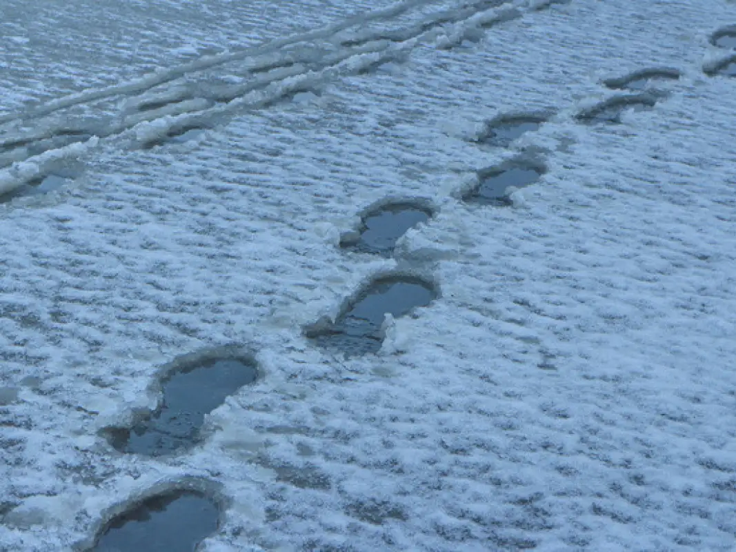 Жителей Алматы предупредили о проливных дождях