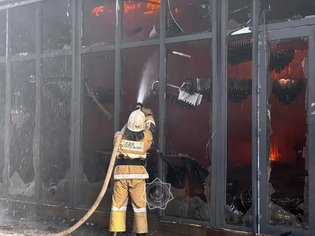 В составе МЧС Казахстана образован Комитет предупреждения ЧС