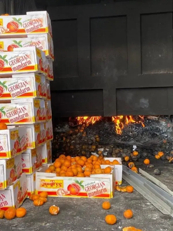 В Нур-Султане сожгли тонну вредных мандаринов