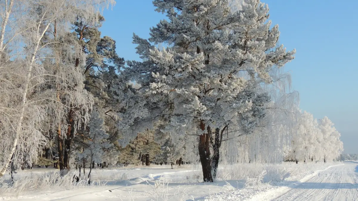 Погода по Казахстану на 12 февраля