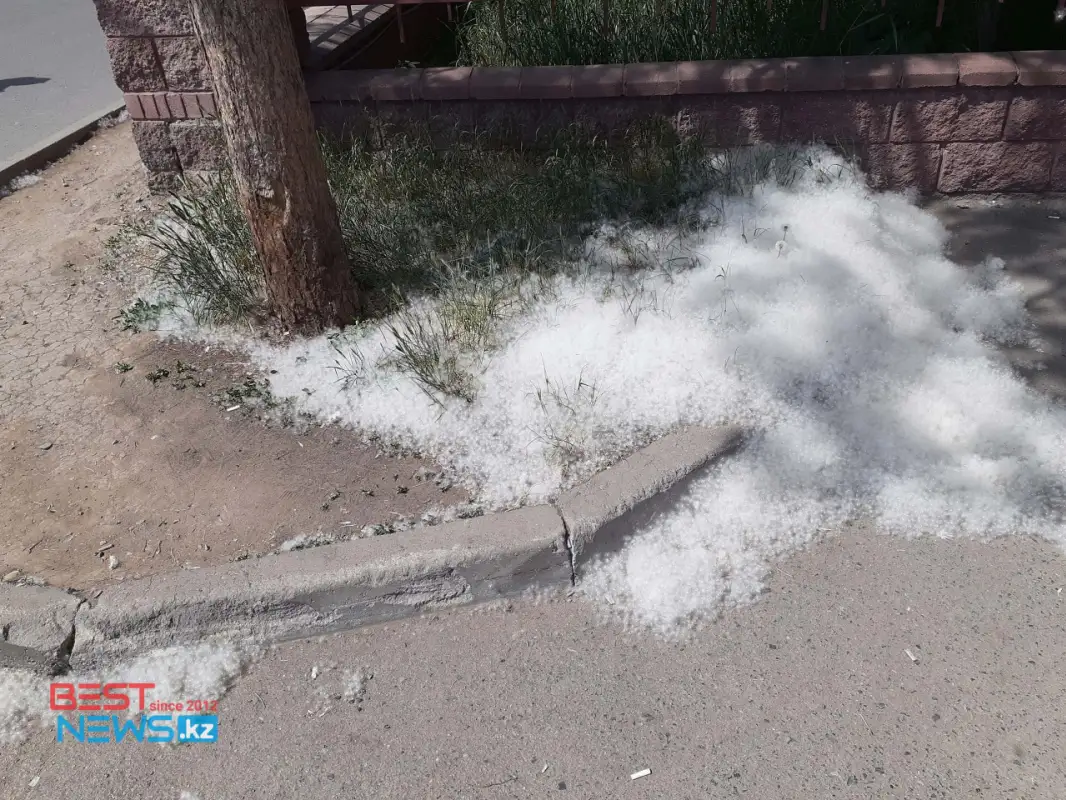 Нур-Султан запорошило тополиным пухом – фото