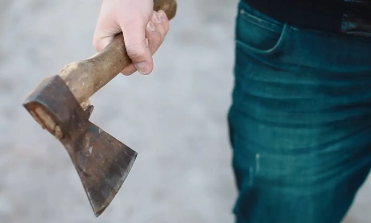 В Петропавловске школьник принес нож и топор и напал на учеников