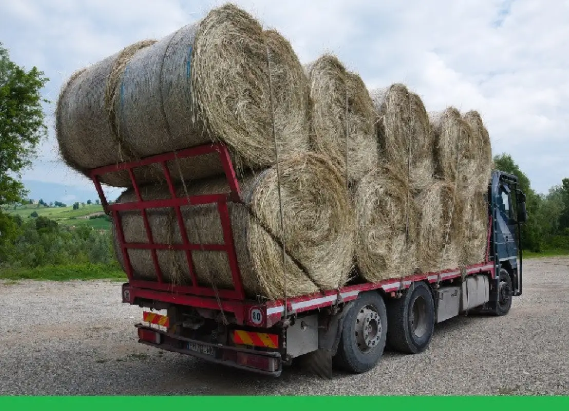 Оснований для объявления режима ЧС в Мангистауской области нет - акимат