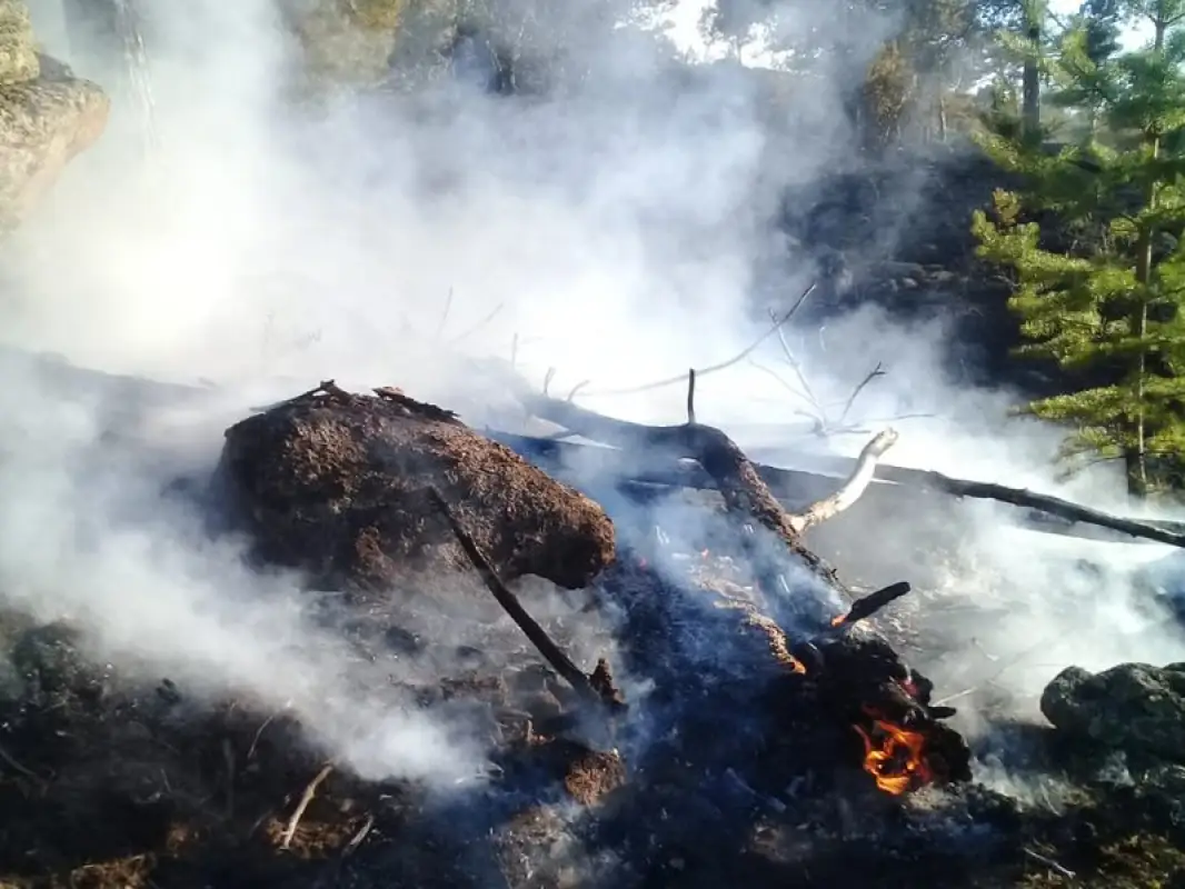 Пожар в Баянаульском нацпарке локализован