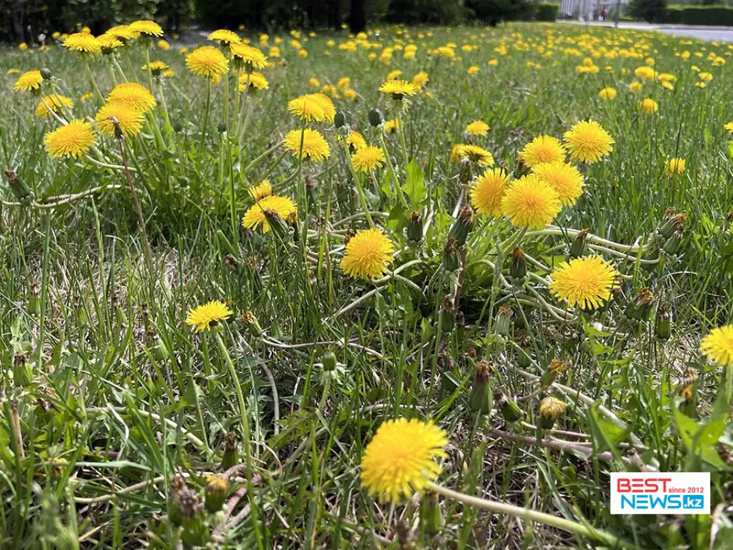 Неустойчивую погоду прогнозирует «Казгидромет» на выходные