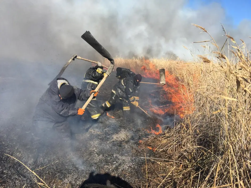 Под Атырау 5 дней горел камыш – пожар ликвидирован. Фото, видео
