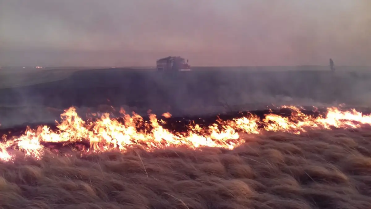 В СКО сгорела 1 тысяча га травы