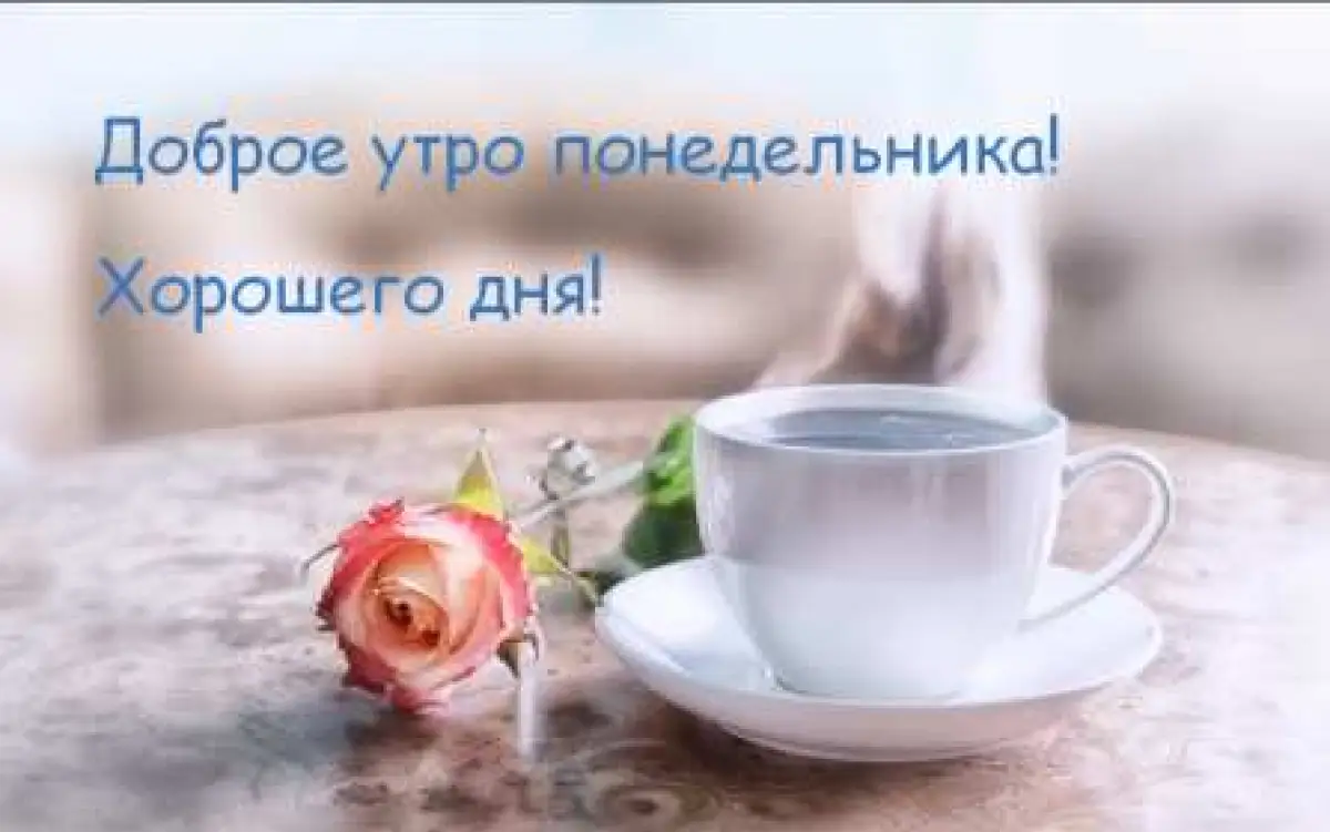 Желаем доброго начала новой недели!