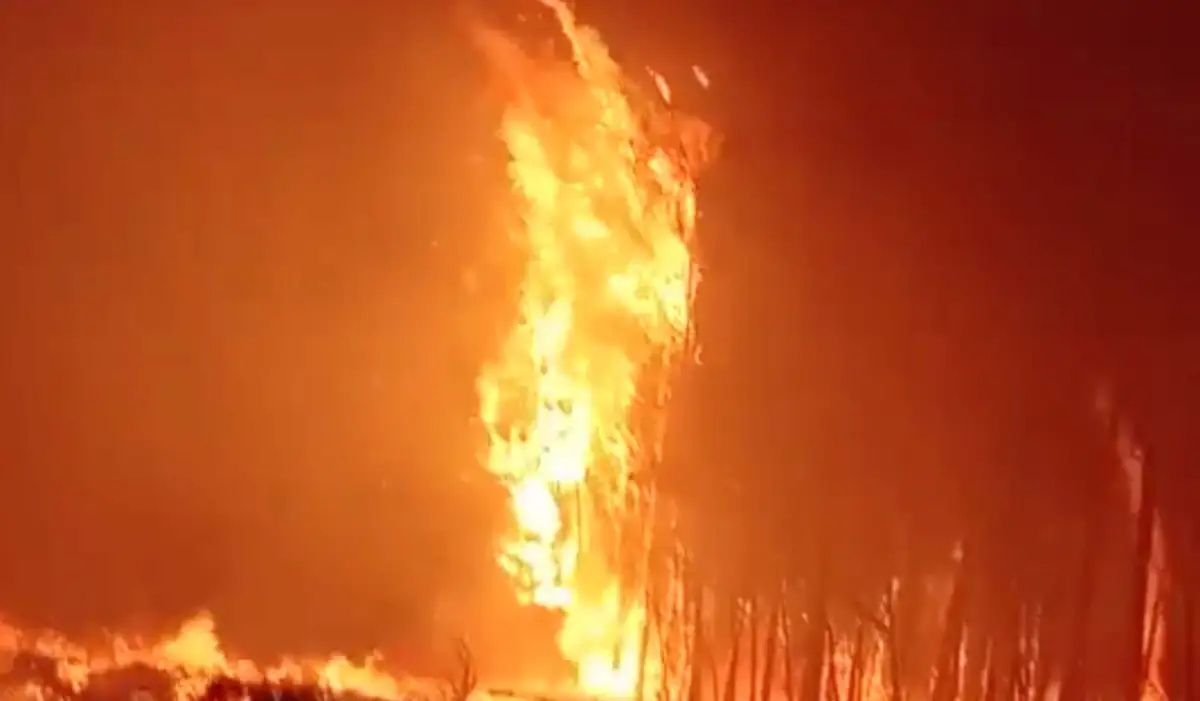 В Костанайской области началась эвакуация жителей из-за лесного пожара и готовится объявление ЧС