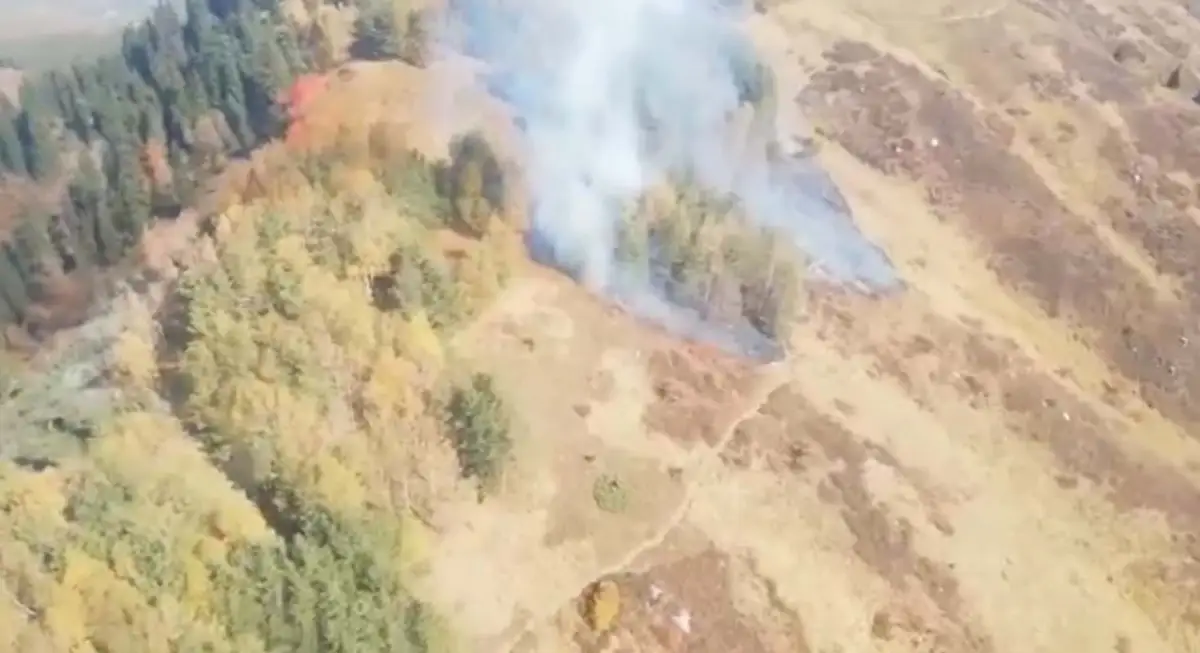 На Кок-Жайлау близ Алматы горит сухостой