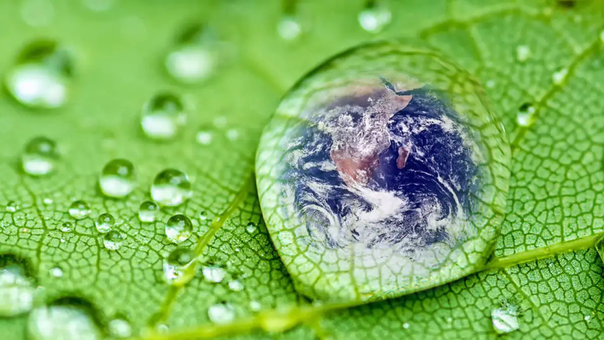 В казахстанских школах появится новый предмет