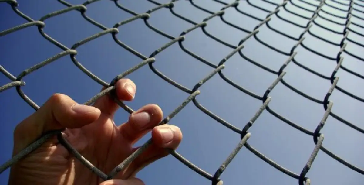 Мажилис взял в работу законопроект "Об амнистии"