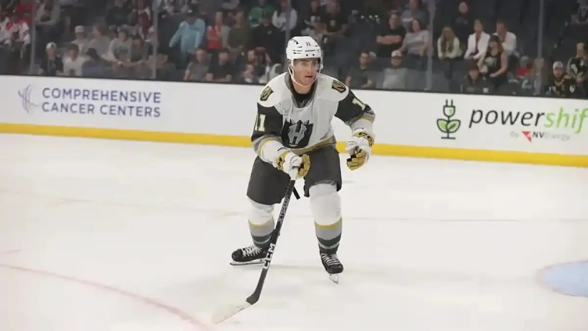 «Барыс» пригласил игрока из системы «Vegas»