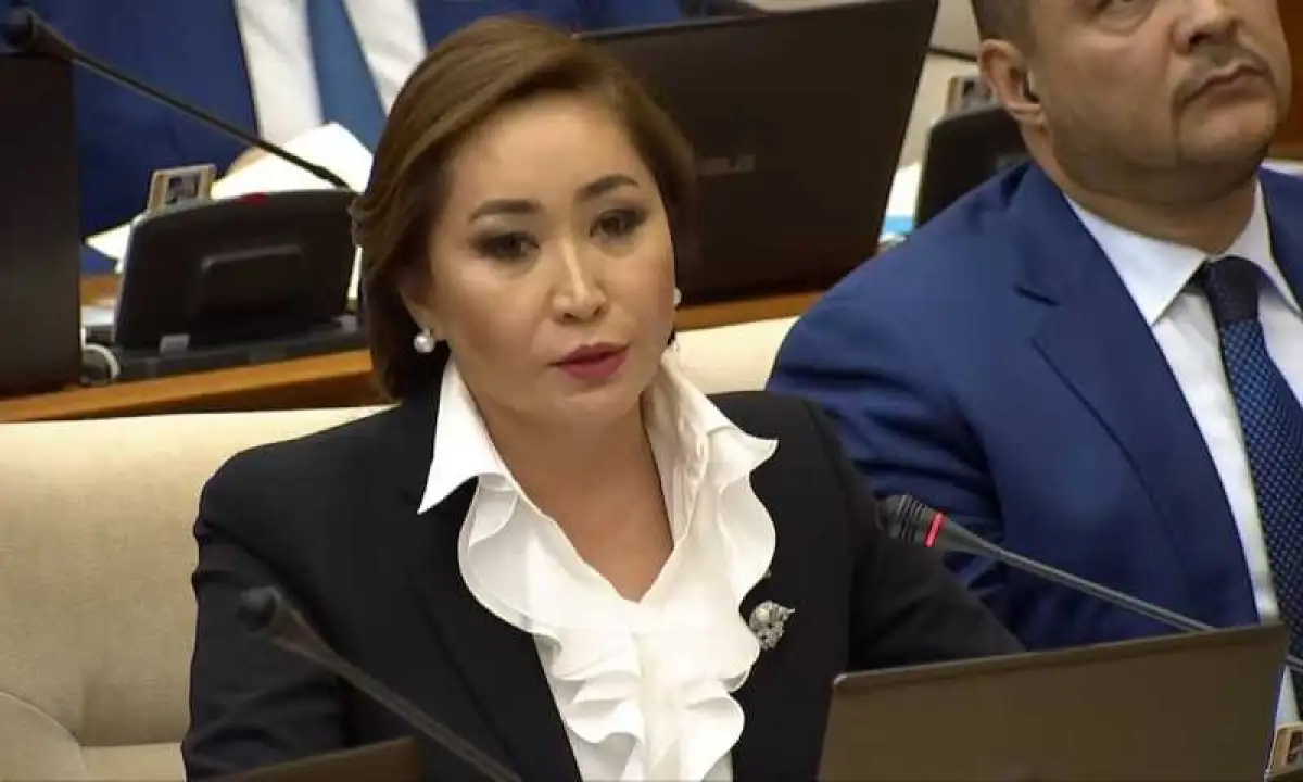 "Все равно опасения остаются": депутат Каракат Абден о принятом новом Налоговом кодексе 