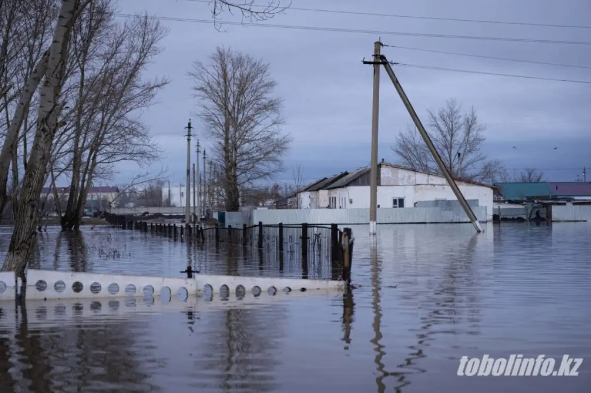 Правительство выделит 1,3 млрд тенге на восстановление линий электропередачи в Костанайской области