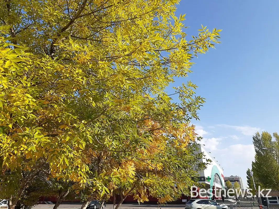 Когда казахстанцев согреет «бабье лето» - прогноз