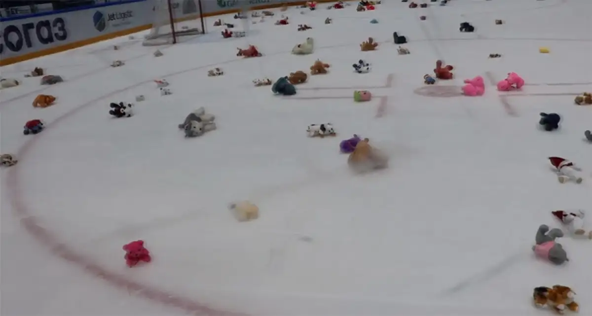 Зрители устроили мишкопад после матча Барыс-СЮ