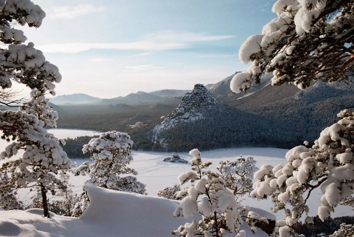 Как на Бурабае охраняют лес от незаконных вырубок