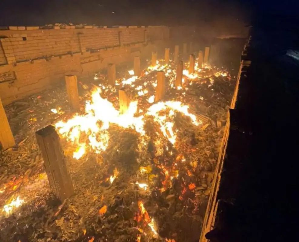 В Туркестанской области 1 150 овец заживо сгорели на пожаре - видео